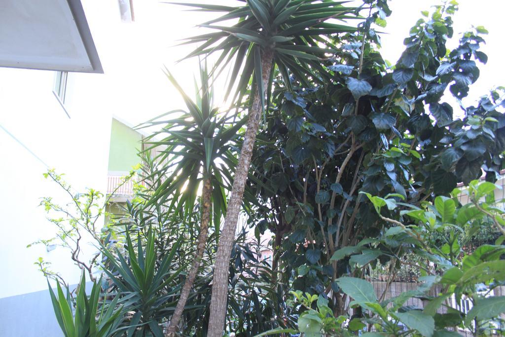 B&B Mimosa Giardini Naxos Eksteriør bilde